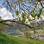 Bio-bergbauernhof Hubgut