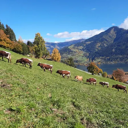 Bio-bergbauernhof Hubgut Alojamento de Turismo Rural