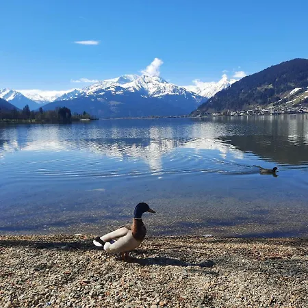 Bio-bergbauernhof Hubgut *