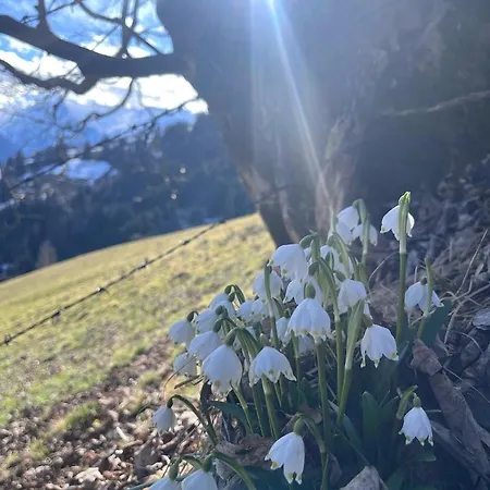 Bio-bergbauernhof Hubgut * Zell am See