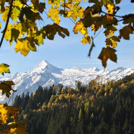 ファームステイ Bio-bergbauernhof Hubgut ツェル アム ゼー