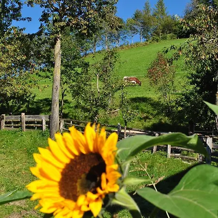 Bio-bergbauernhof Hubgut Vakantieboerderij *