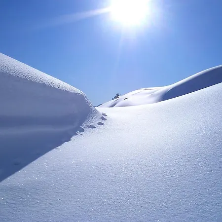 Bio-bergbauernhof Hubgut * ツェル アム ゼー