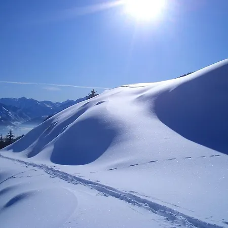 Bio-bergbauernhof Hubgut ツェル アム ゼー