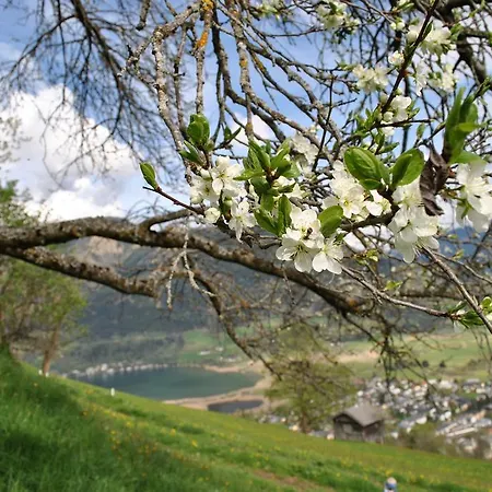 Bio-bergbauernhof Hubgut
