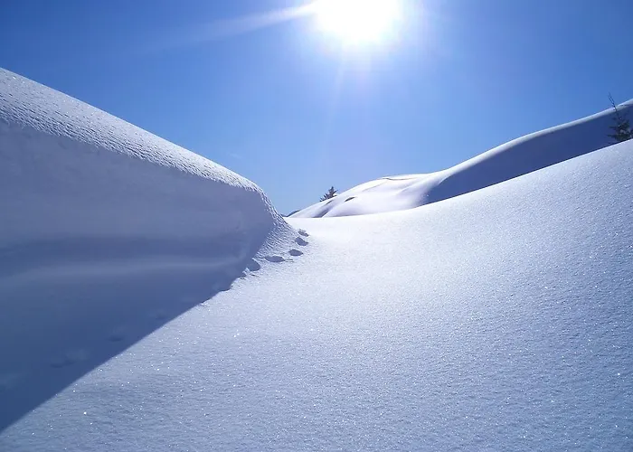 Hubgut * Zell am See