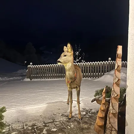 Bio-bergbauernhof Hubgut Farma