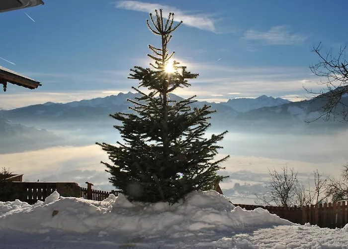 Bio-bergbauernhof Hubgut ツェル アム ゼー