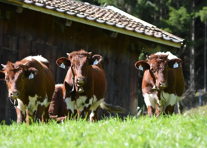 Bio-bergbauernhof Hubgut ファームステイ