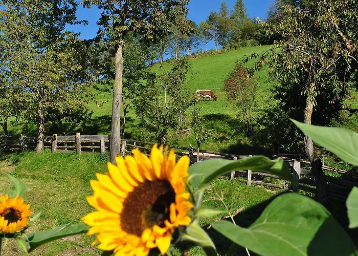 Bio-bergbauernhof Hubgut ファームステイ *