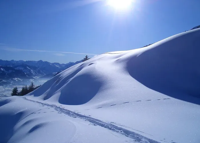 Bio-bergbauernhof Hubgut ツェル アム ゼー